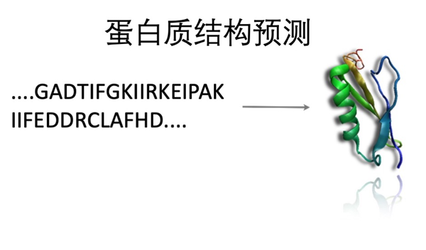 1.png 1.png